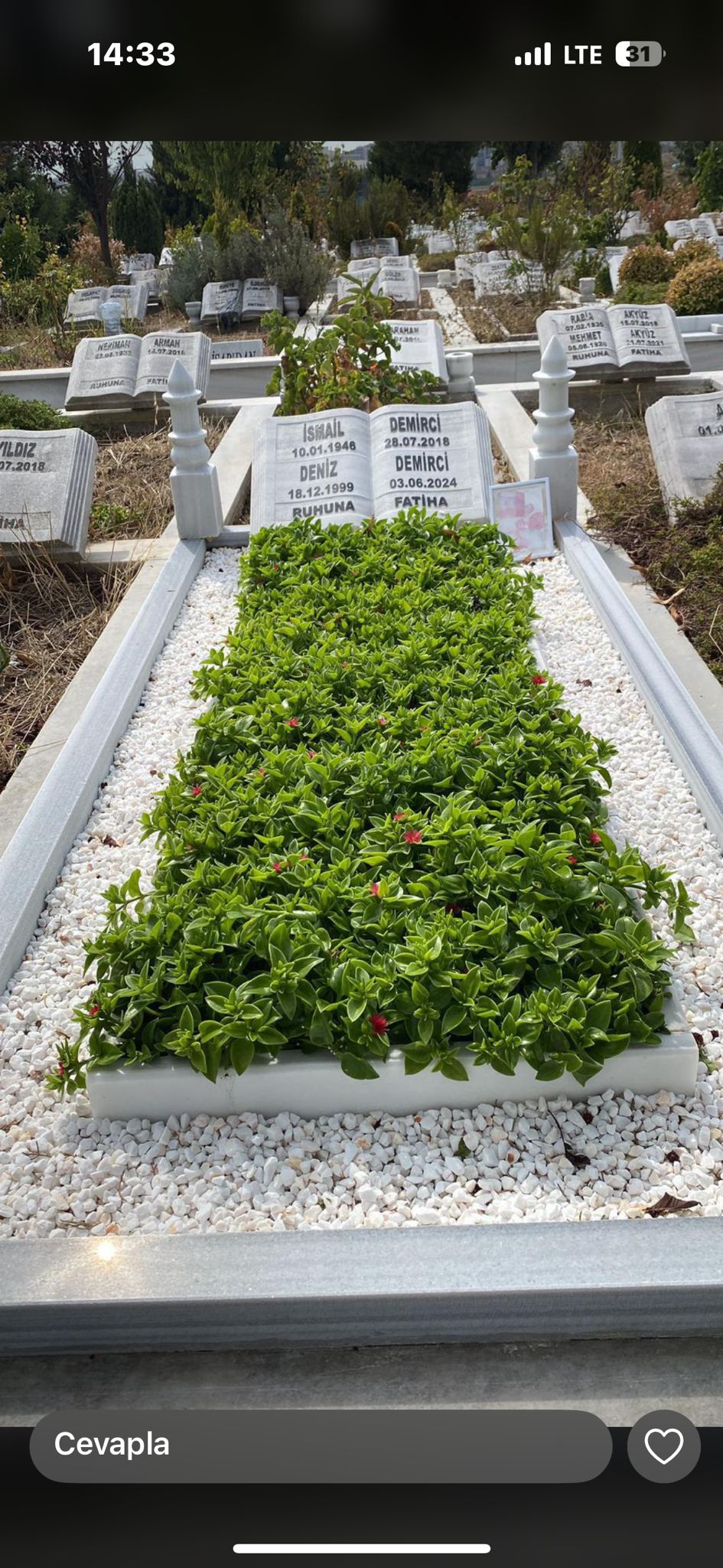 Düzenli Bakım Paketi